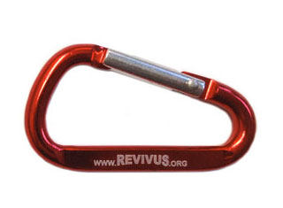 Revivus Carabiner Keychain